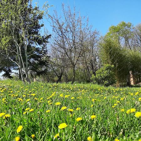 Chambre soignée et accueillante à la campagne - Ch. Jaune L'Honor-de-Cos Exterior foto