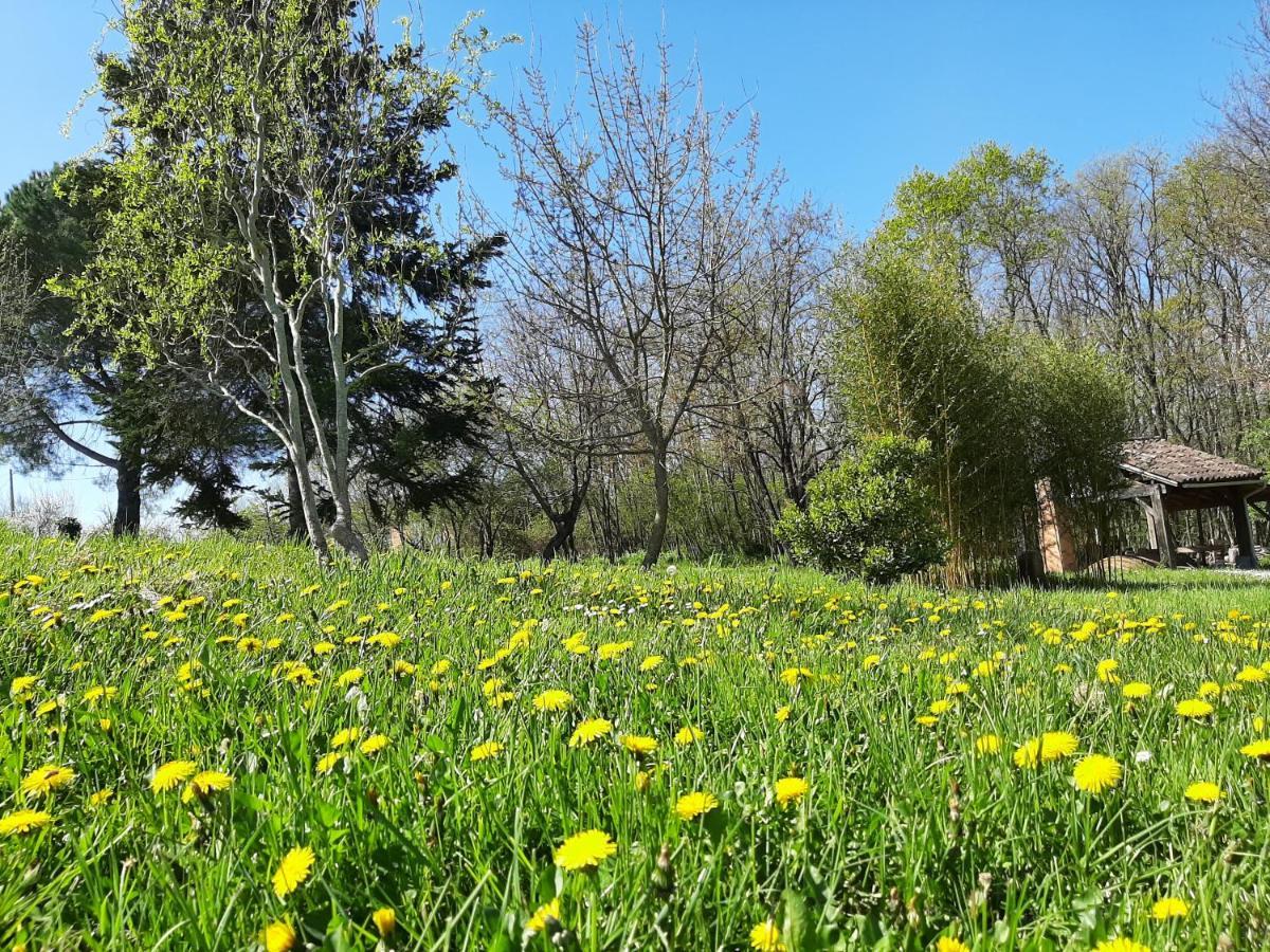 Chambre soignée et accueillante à la campagne - Ch. Jaune L'Honor-de-Cos Exterior foto